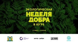 Афиша общая 2