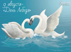 День Лебедя2023 - 123