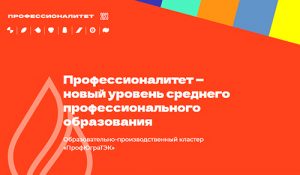 профессионалитет